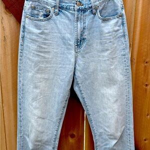 Madewell Light Fitzgerald Wash The Perfect High Waist Jean Size 27